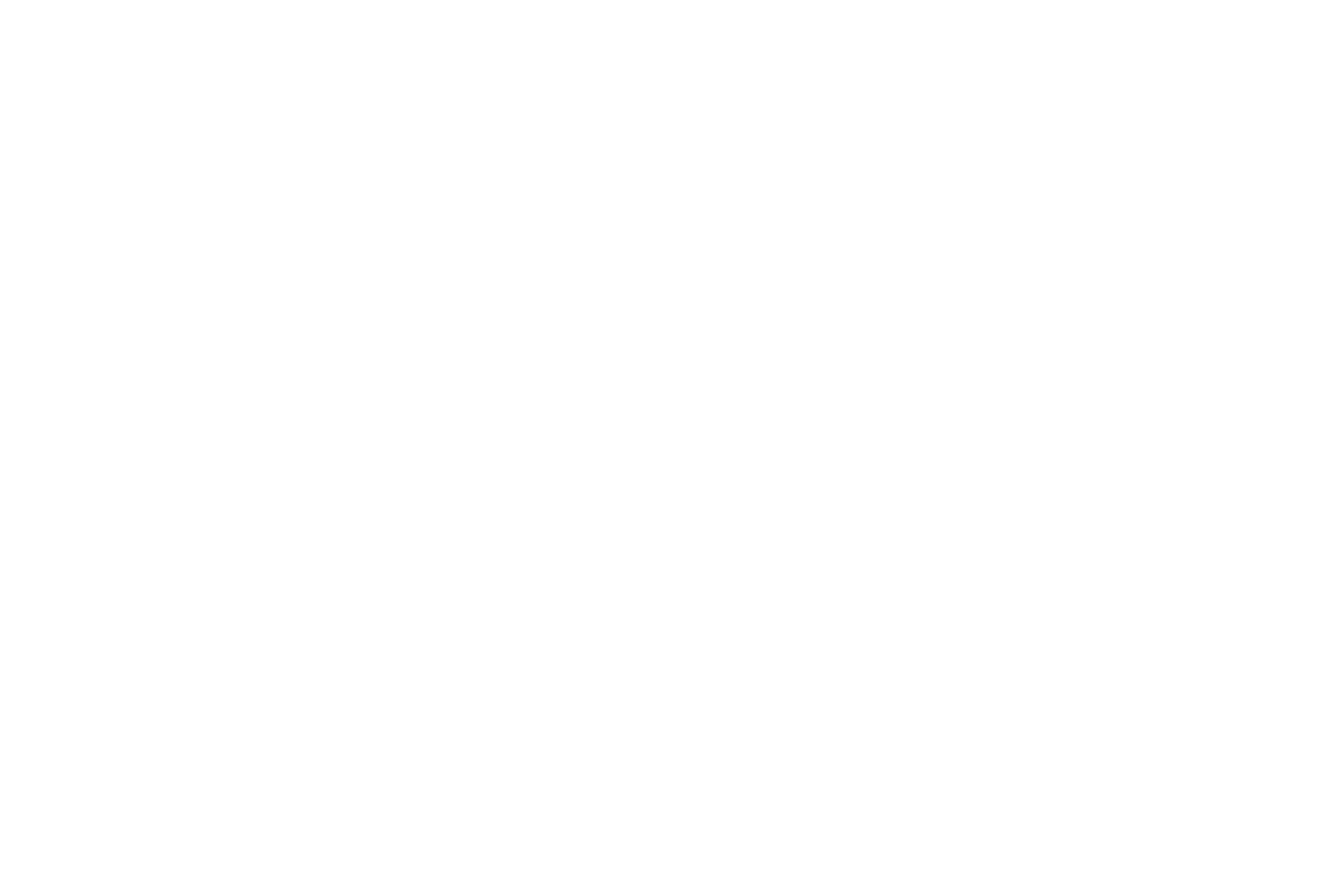 PMP Academy